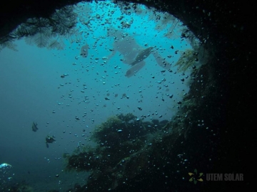 Как глубоководная добыча полезных ископаемых может помочь в масштабном развитии солнечной энергетики.