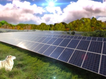 Возобновляемая энергетика в скором времени может обеспечить половину общего энергетического потребления в Испании. 